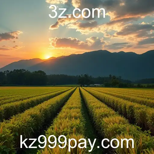 Brasil Navega Progresso Digital e Sustentável